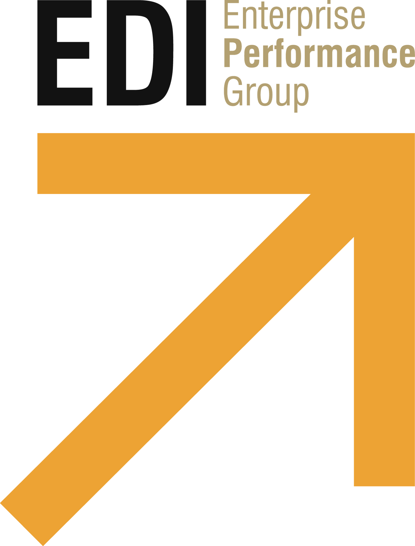 EDI Enterprise Performance Group Inc.